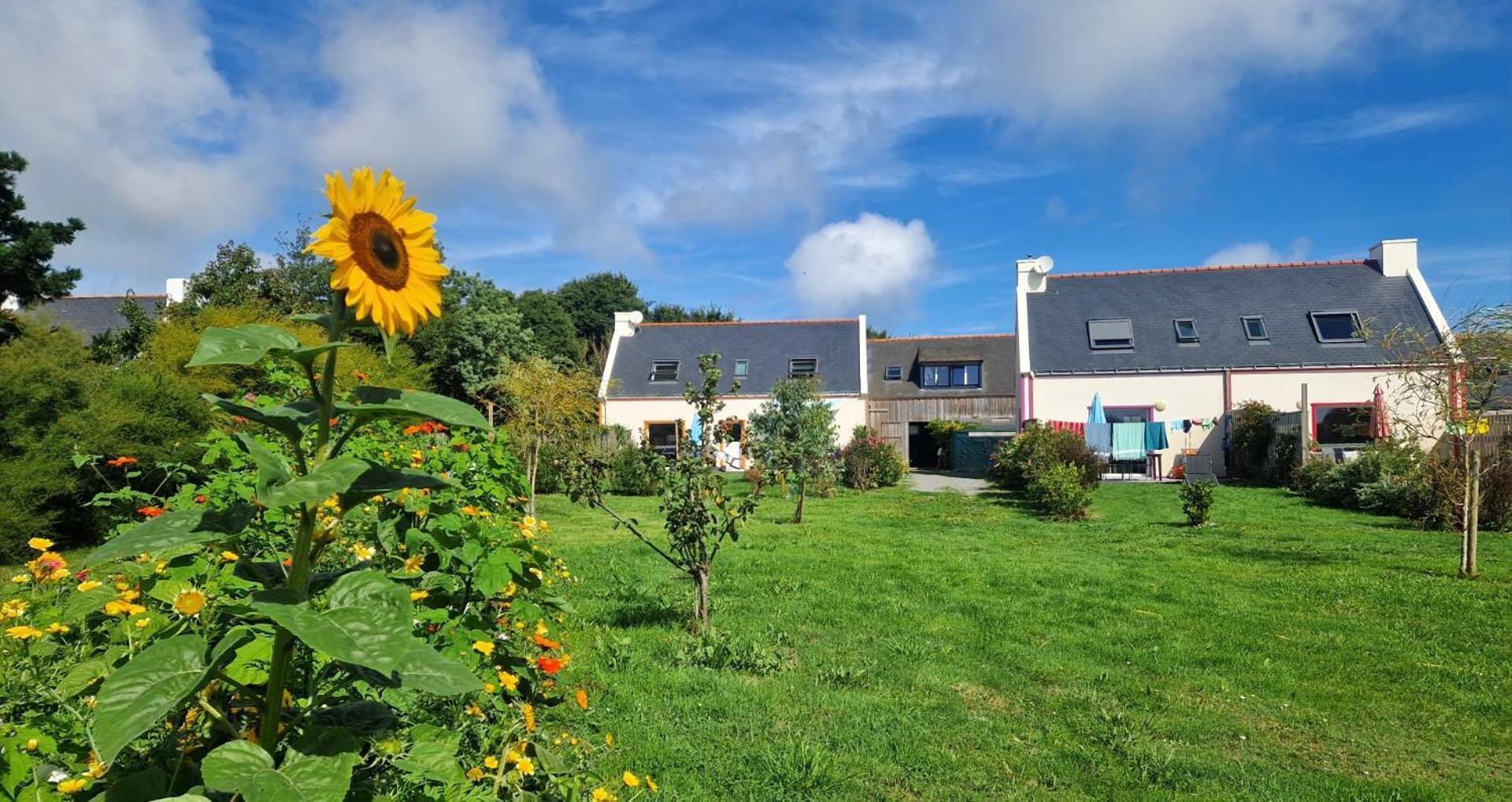 Les Maisons De Kerdavid'Ile - Votre Residence De Vacances A Belle Ile En Mer Locmaria Exterior foto